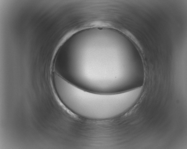 X0000068301381200604210959