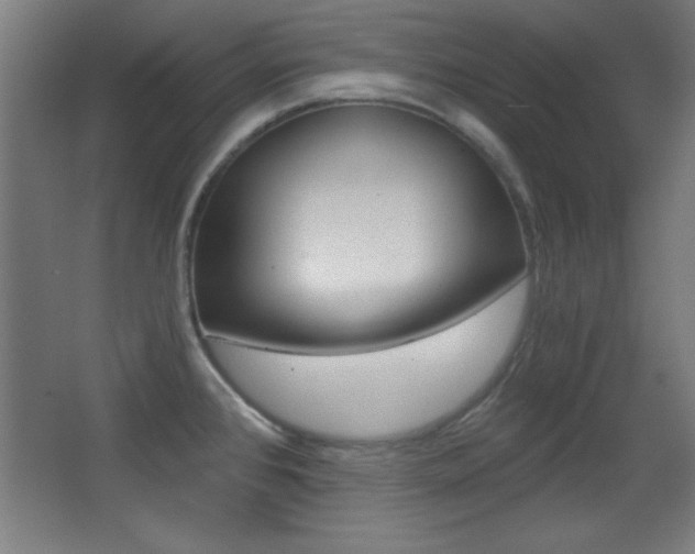X0000068301384200604210959