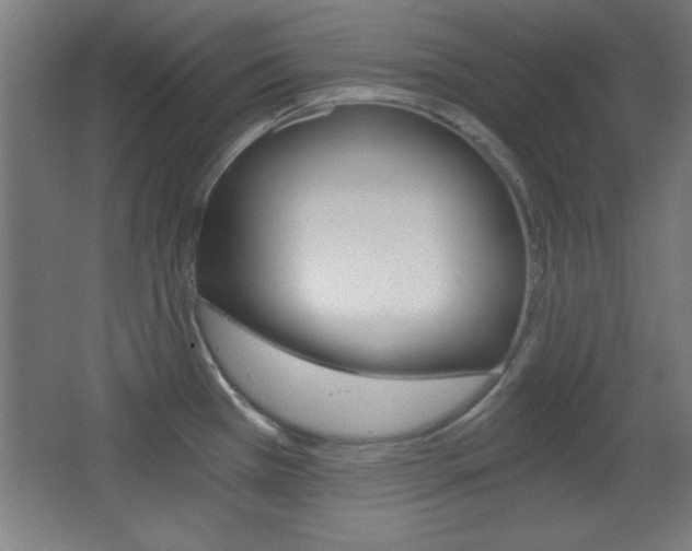 X0000068301385200604210959