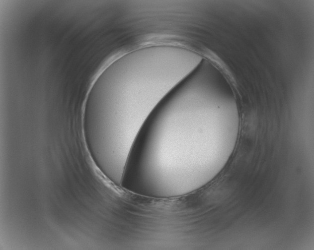 X0000068301386200604210959