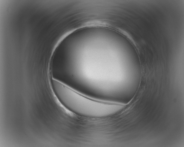 X0000068301387200604210959