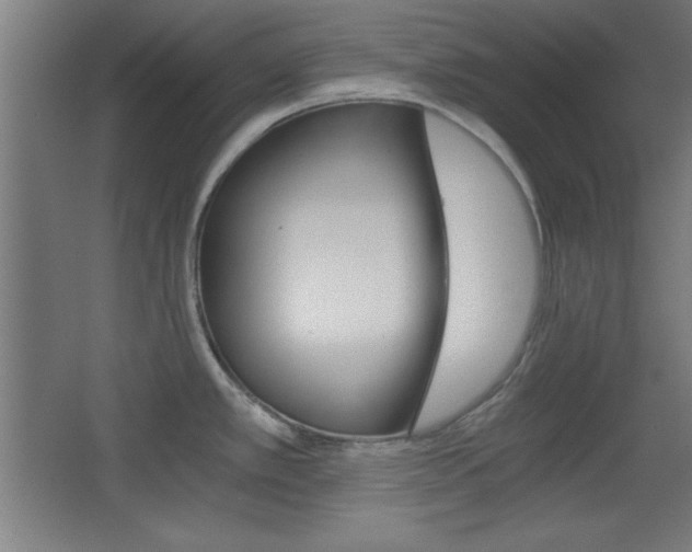 X0000068301389200604210959