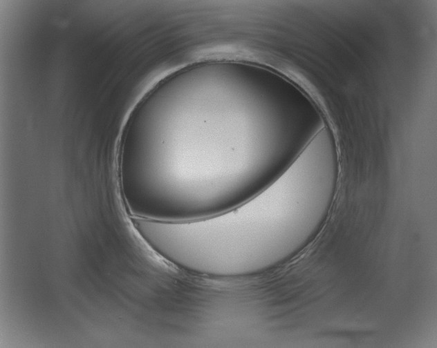 X0000068301392200604210959