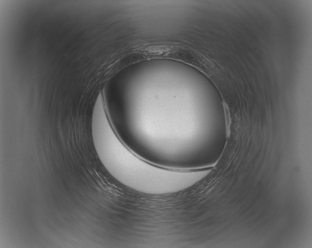 X0000068301394200604210958