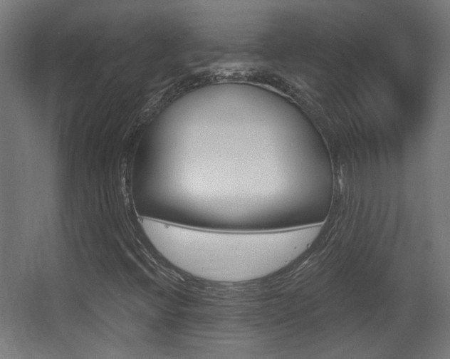 X0000068301396200604210958
