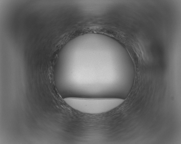 X0000068301397200604210958