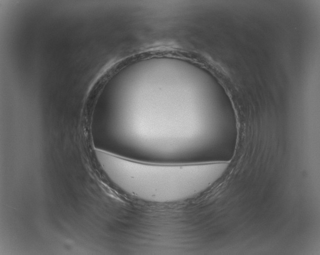 X0000068301400200604210959