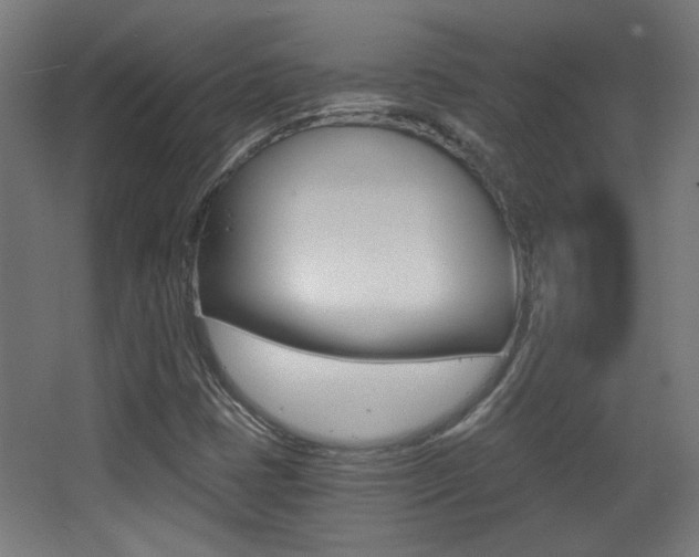 X0000068301401200604210959