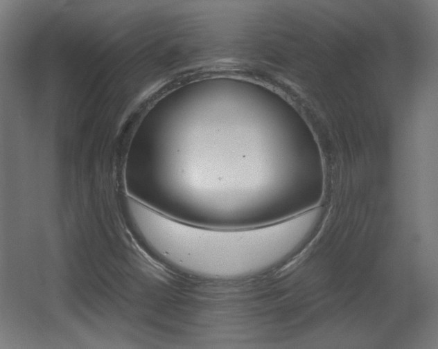X0000068301402200604210959