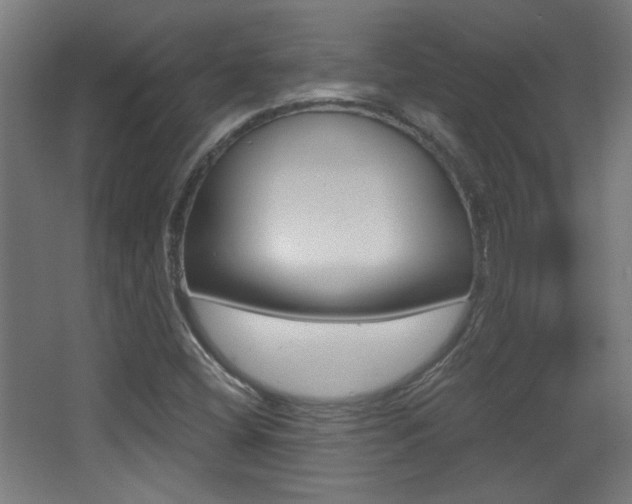 X0000068301404200604210959