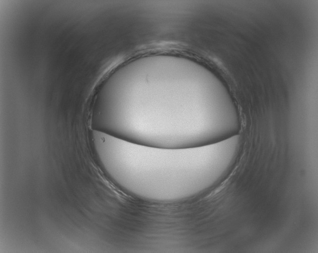 X0000068301405200604210959