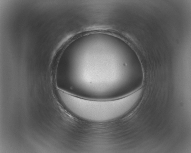 X0000068301406200604210959