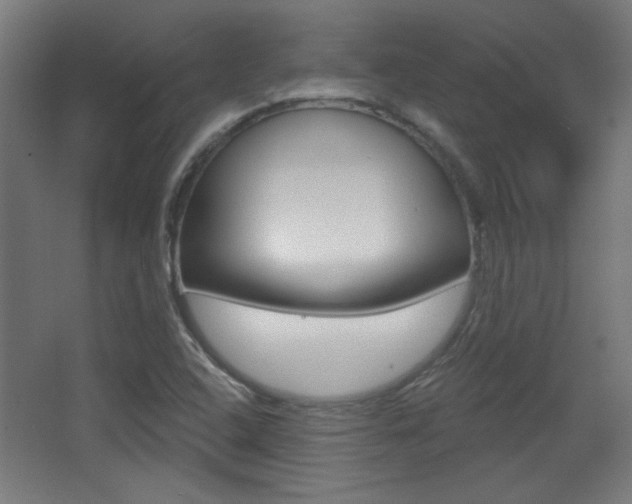 X0000068301408200604210959
