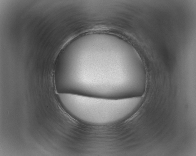 X0000068301409200604210959