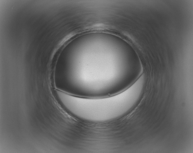 X0000068301410200604210959