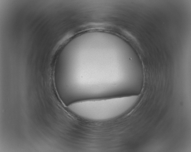 X0000068301411200604210959