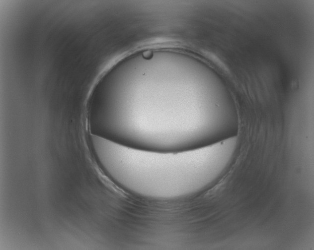 X0000068301413200604210959