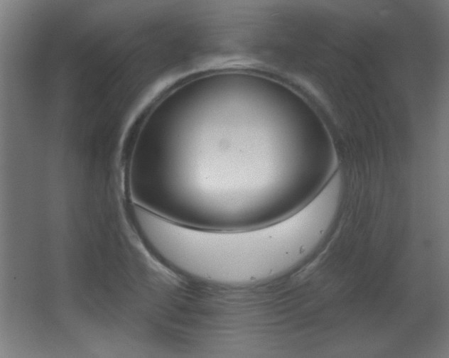 X0000068301414200604210959