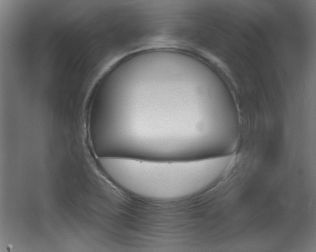 X0000068301415200604210959