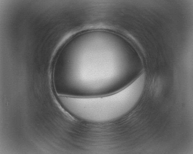 X0000068301416200604210959