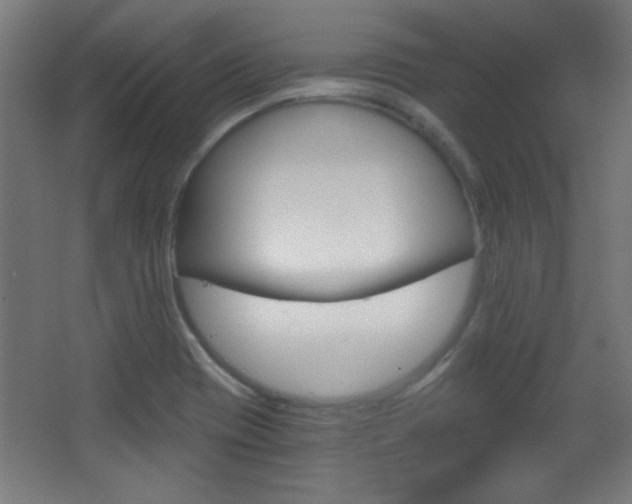 X0000068301417200604210959