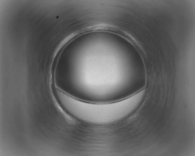 X0000068301418200604210959