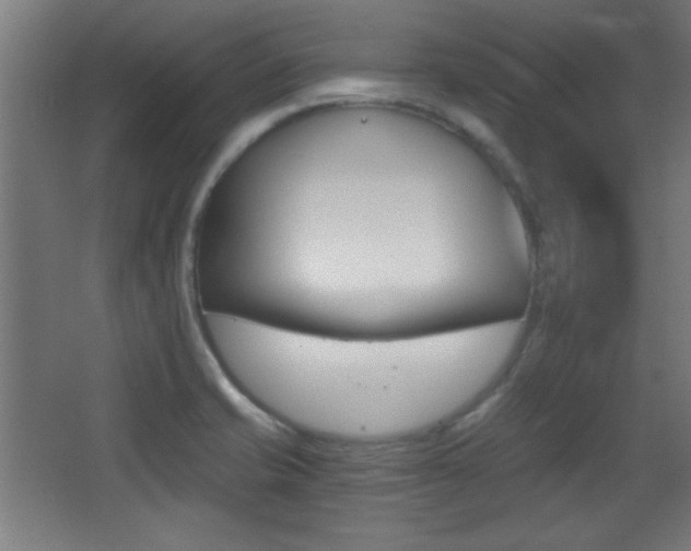 X0000068301421200604210959