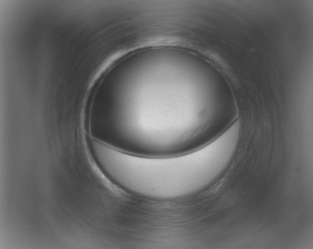 X0000068301422200604210959