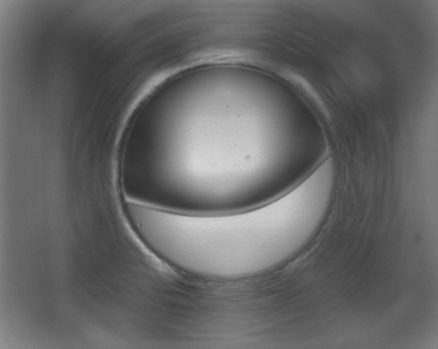 X0000068301424200604210959