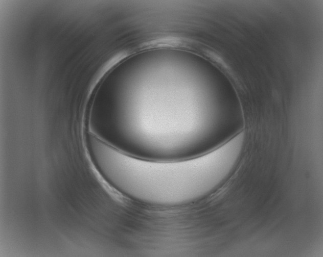 X0000068301426200604210959