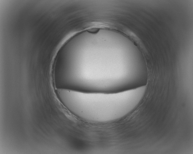 X0000068301427200604210959