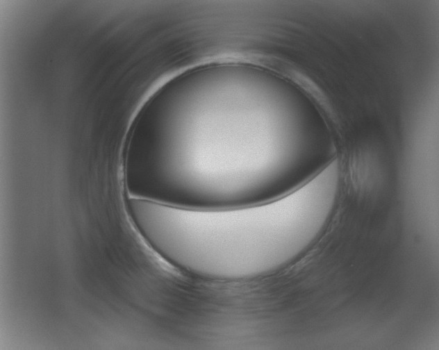 X0000068301428200604210959