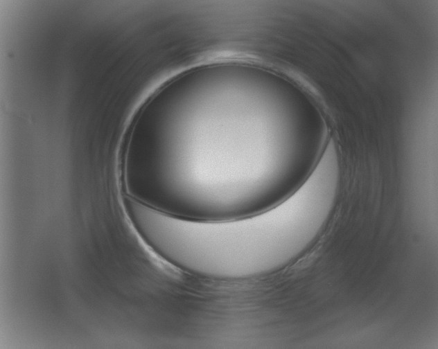 X0000068301430200604210959