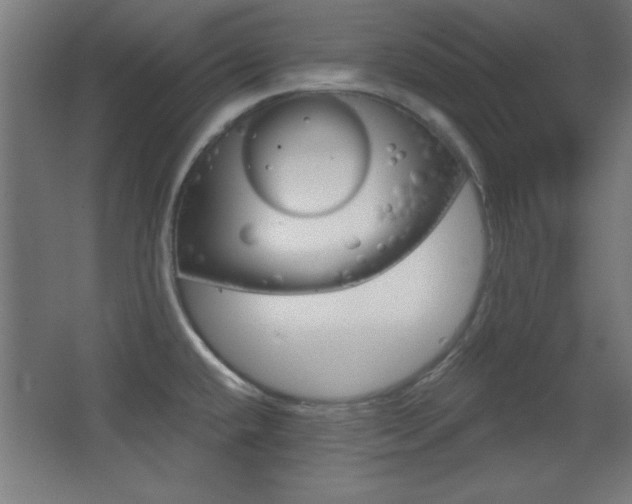 X0000068301432200604210959