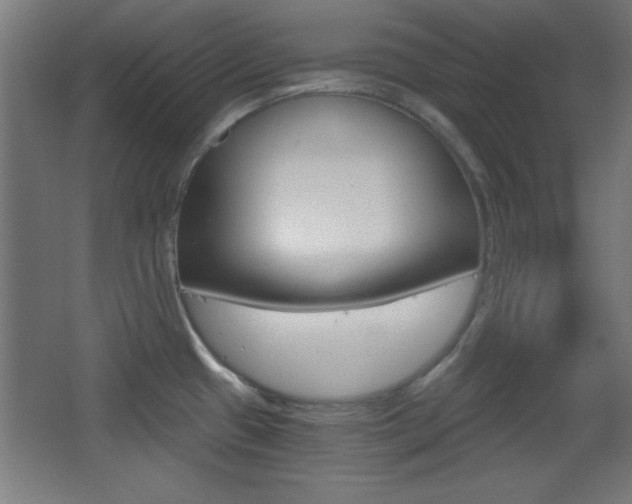 X0000068301433200604210959
