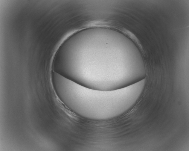 X0000068301435200604210959