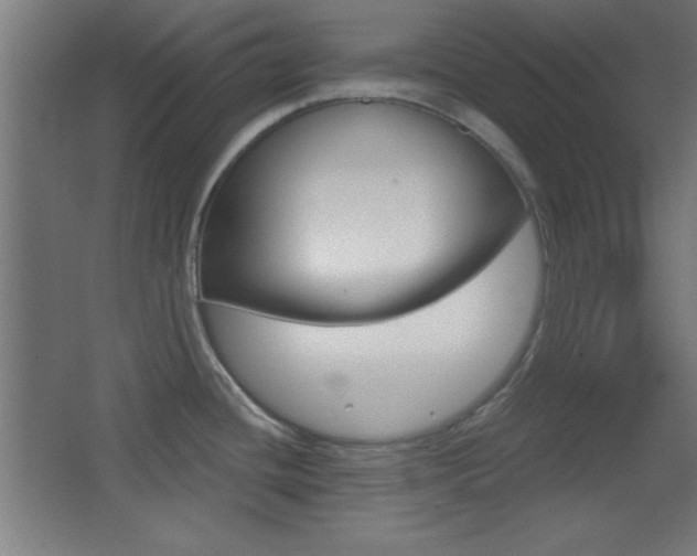 X0000068301436200604210959