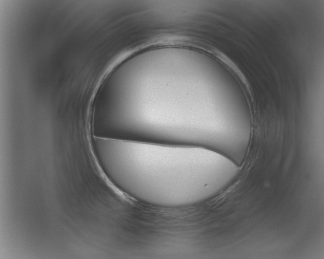 X0000068301437200604210959