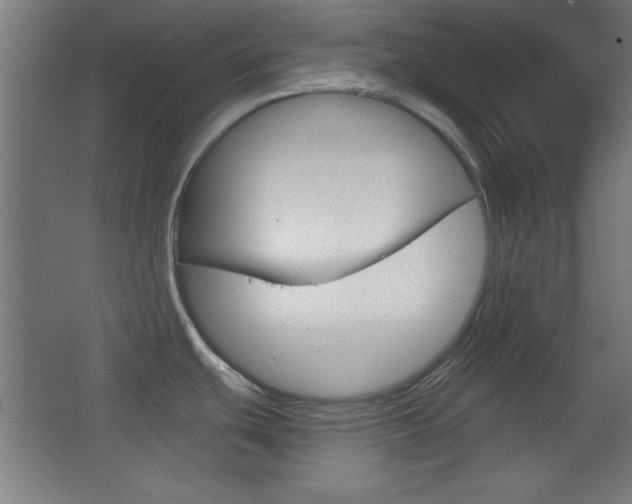 X0000068301439200604210959