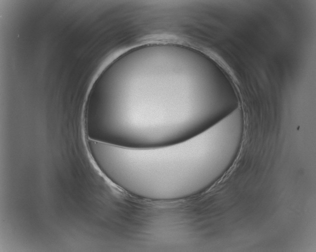 X0000068301440200604210959