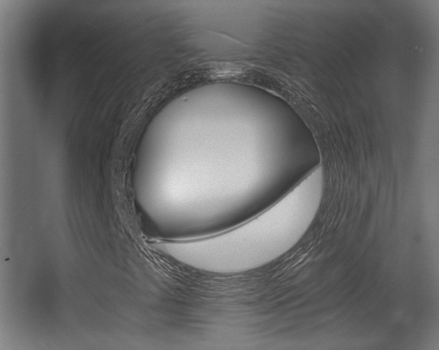 X0000068301441200604210958
