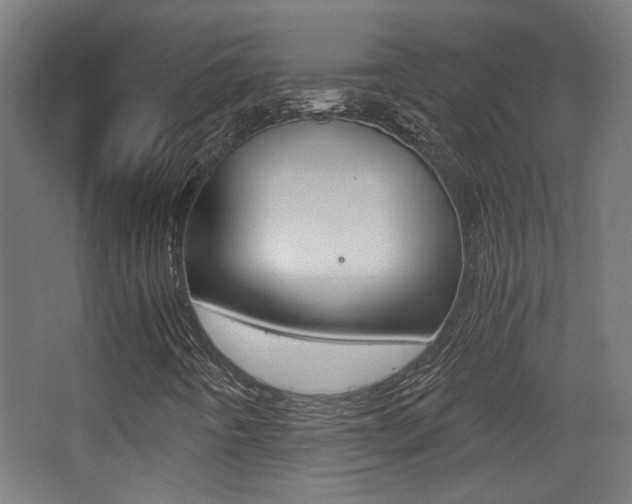 X0000068301442200604210958