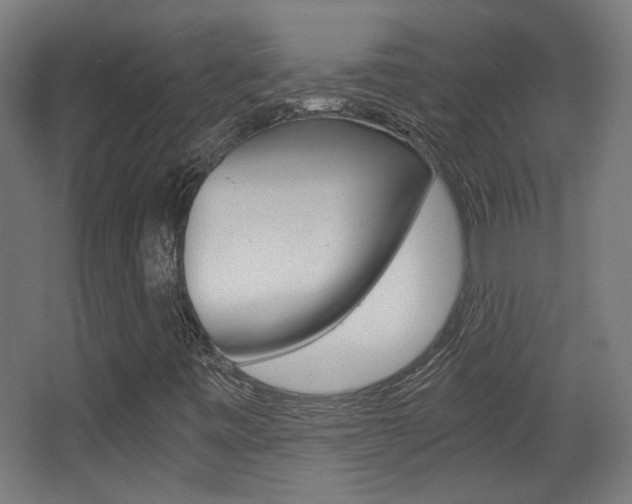 X0000068301443200604210958