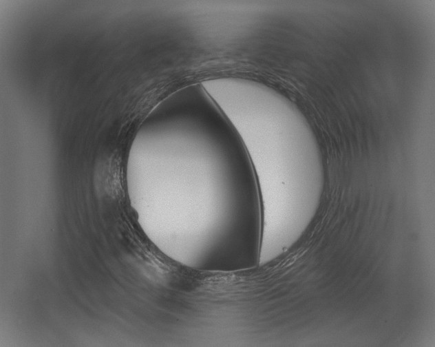 X0000068301444200604210958