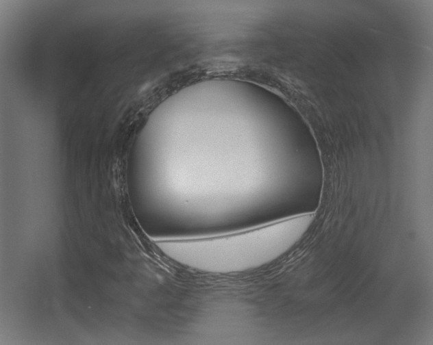 X0000068301445200604210958