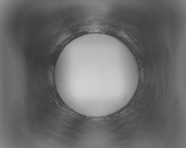 X0000068301446200604210958