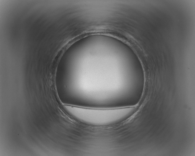 X0000068301449200604210958