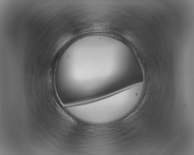 X0000068301450200604210958