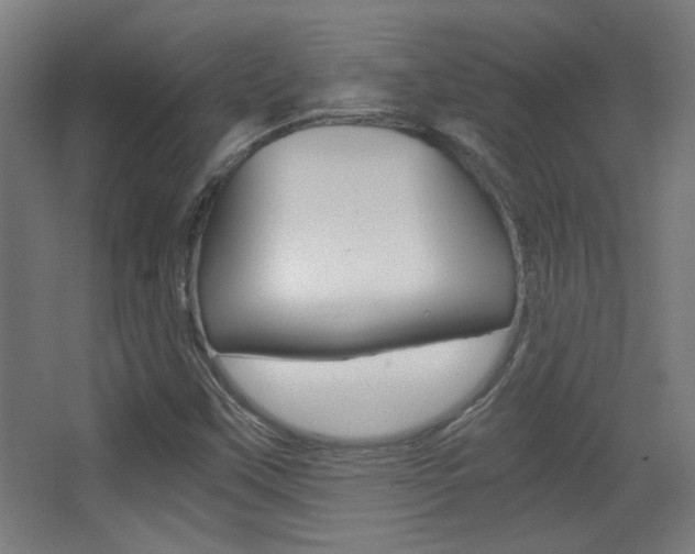 X0000068301451200604210958