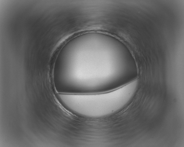 X0000068301452200604210958